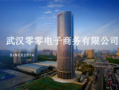 武汉零零电子商务有限公司 专业计算机及辅助设备租赁服务商